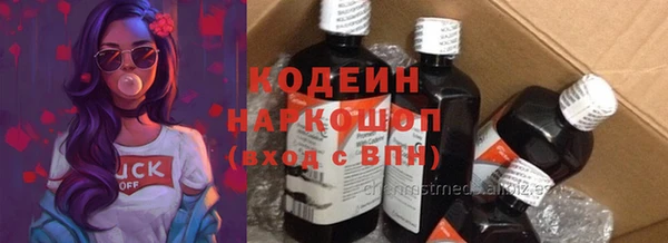 ПСИЛОЦИБИНОВЫЕ ГРИБЫ Арсеньев