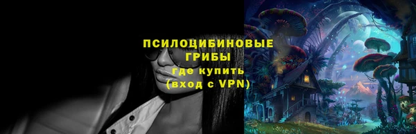 ПСИЛОЦИБИНОВЫЕ ГРИБЫ Арсеньев