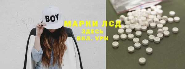 ГАЛЛЮЦИНОГЕННЫЕ ГРИБЫ Аркадак