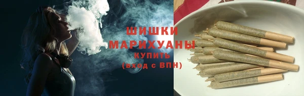 ГАЛЛЮЦИНОГЕННЫЕ ГРИБЫ Аркадак