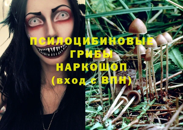 мдпв Армянск