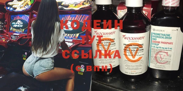 ПСИЛОЦИБИНОВЫЕ ГРИБЫ Арсеньев