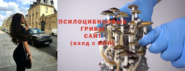 мдпв Армянск