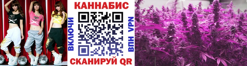 Марихуана семена  Купить где  Ленинградская 